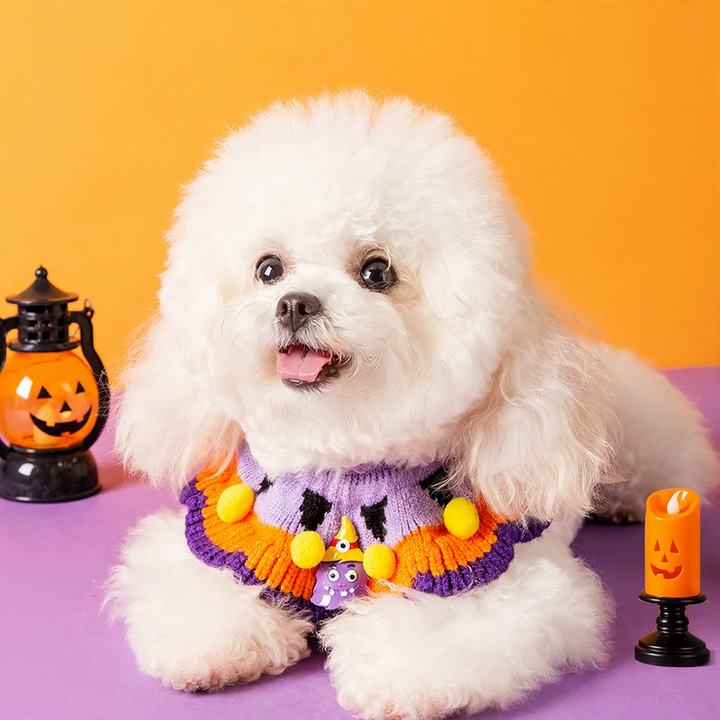 Halloween-Halsband mit Kürbismuster für Hunde