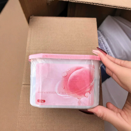 Feuchtigkeitsabsorber-Box für Fahrzeuginnenräume