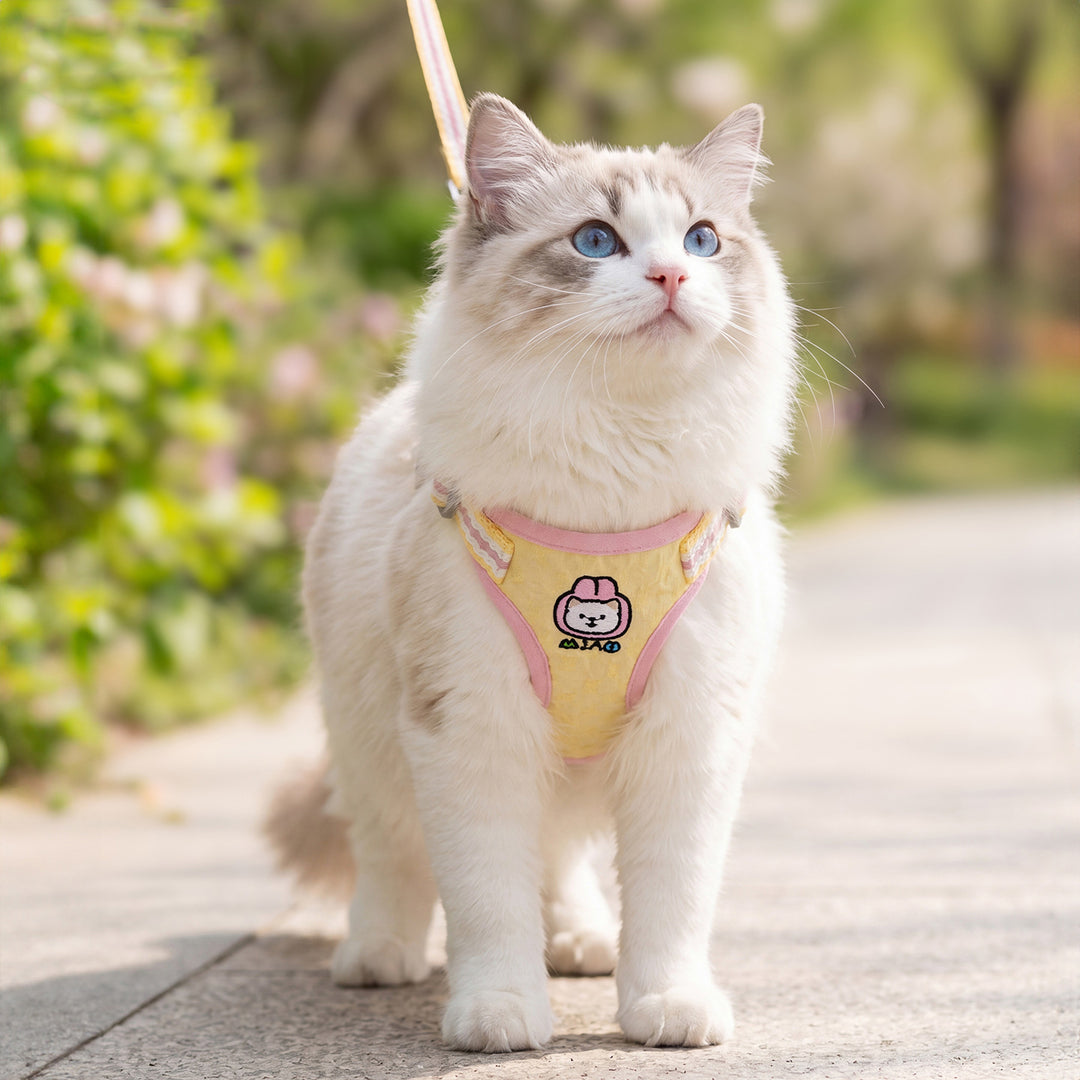Katzen-Brustgeschirr mit Leine, Polyester