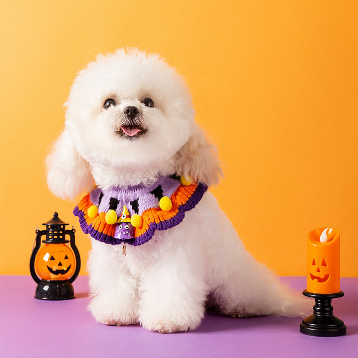 Halloween-Halsband mit Kürbismuster für Hunde