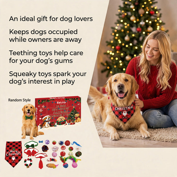 Adventskalender für Hunde