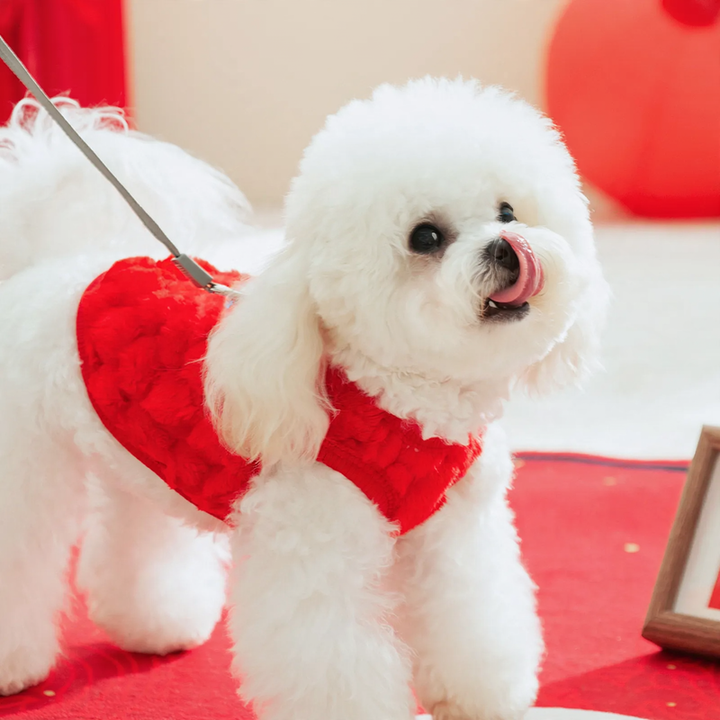 Festlicher Fleece-Hundemantel mit Löwenmotiv
