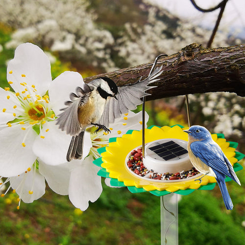 Solar-Vogel-Futterstation mit LED-Lichtsensor