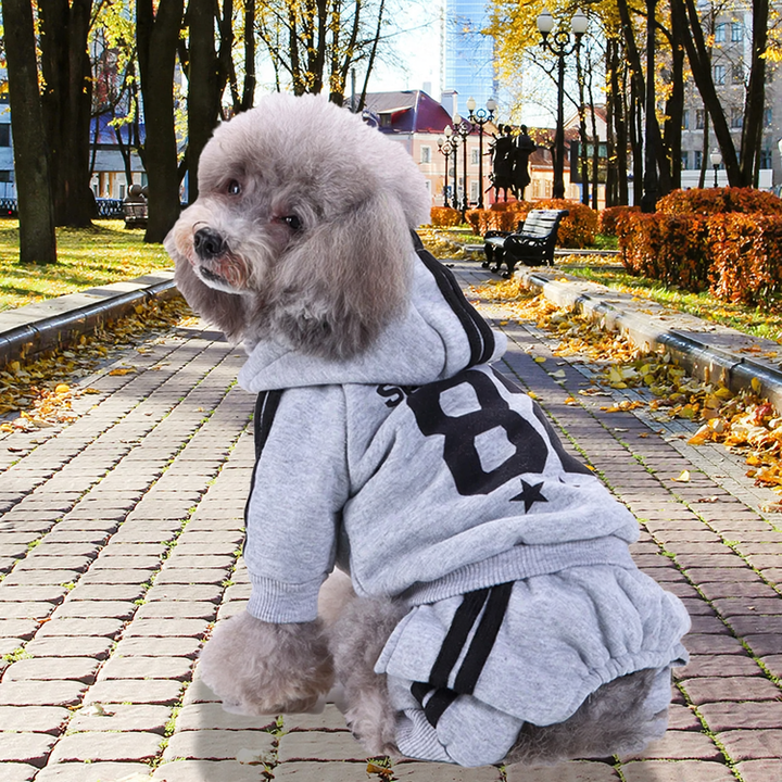 Kapuzen-Sweatshirt für Hunde, Herbst und Winter