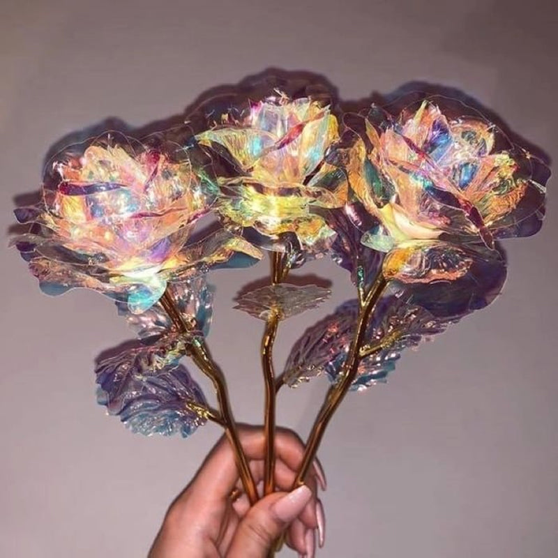 Glänzende schlafende Rose Valentinstag