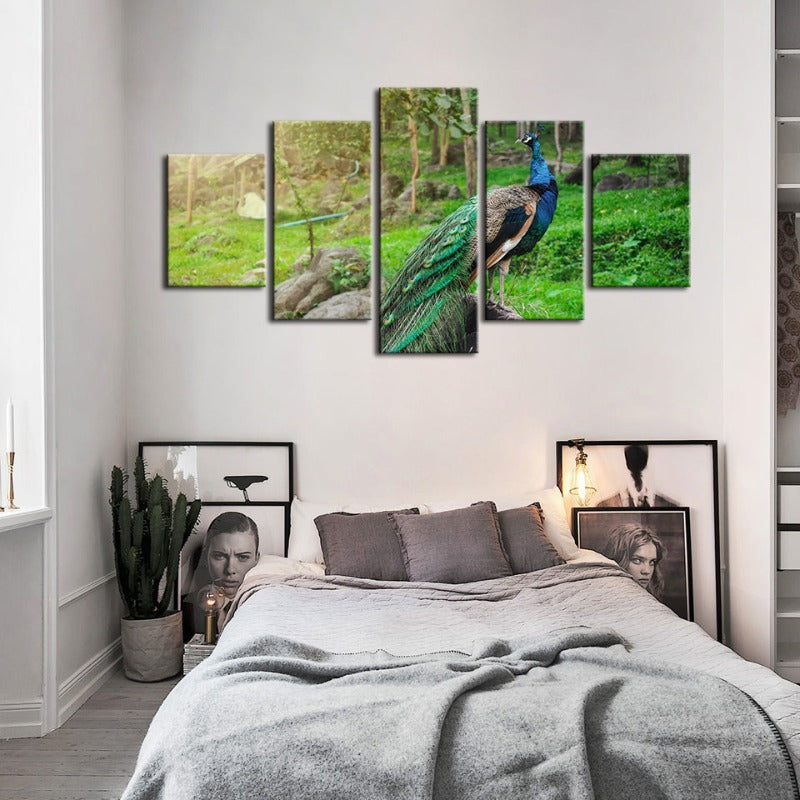 5-teiliges Würdevoller Sonnenbeschienener Pfau - Leinwand Wandkunst Gemälde