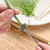 Edelstahl Plum Blossom Zwiebelschneider | Karnz