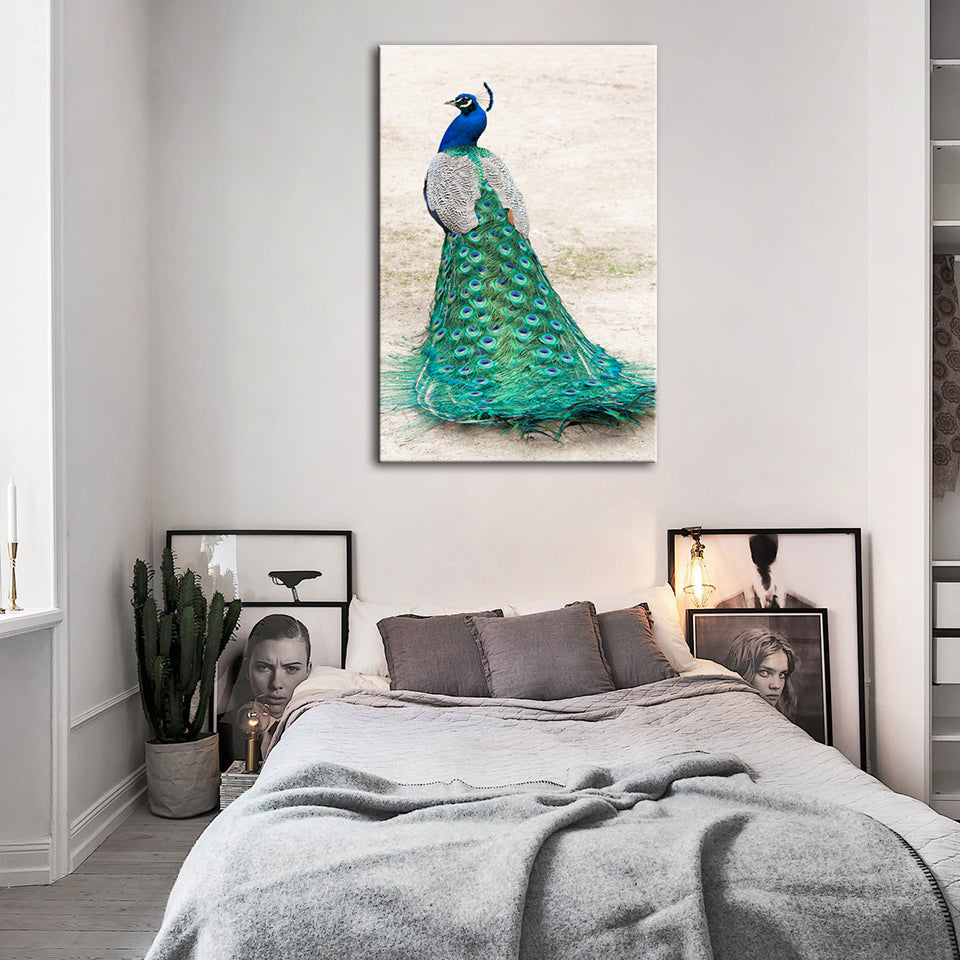 Eleganter Pfau im Rock – Leinwandbild