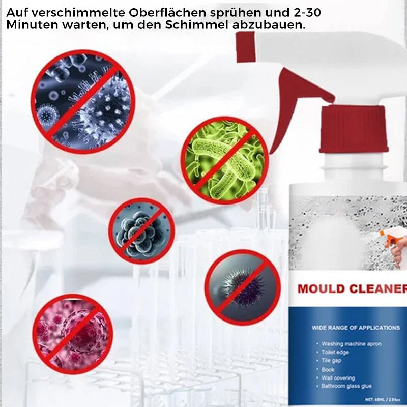 Anti-Schimmel-Reinigungsschaum | Karnz