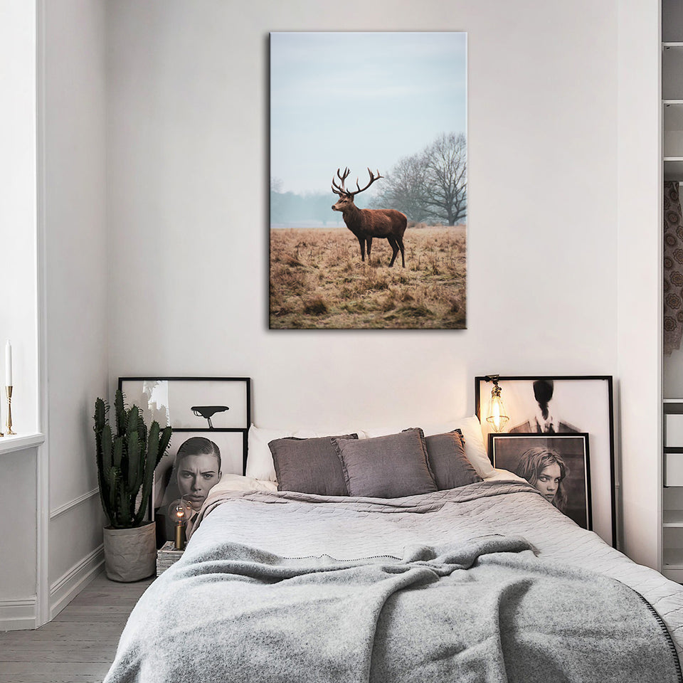 Majestätischer Hirsch in der Ebene - Leinwandbild