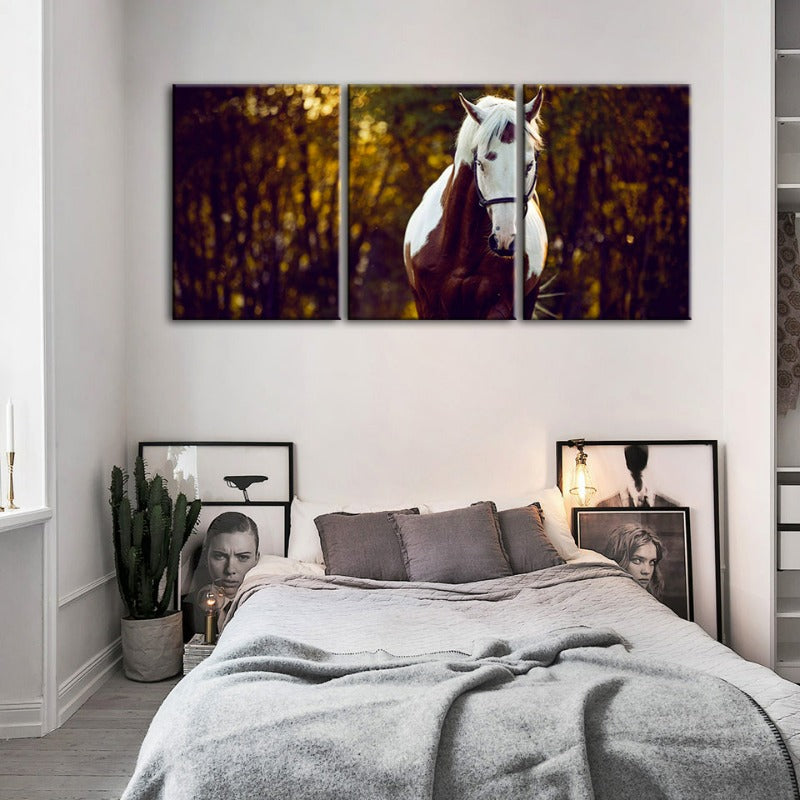 Courtly Overo Pferd – Leinwandbild, 3-teilig