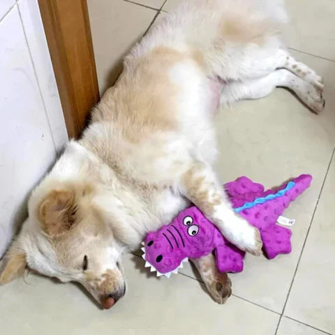 Sandsberg Krokodil Plüschspielzeug für aggressive Kauer 🐊