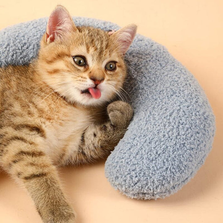 Kat Lieblich Bequem Kissen Karnz