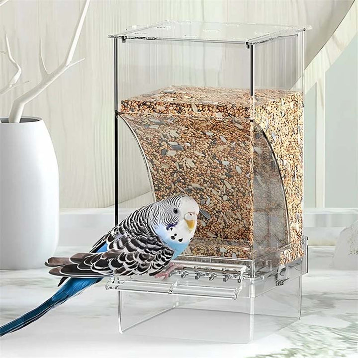 Automatischer, auslaufsicherer Vogelfutterspender | Karnz