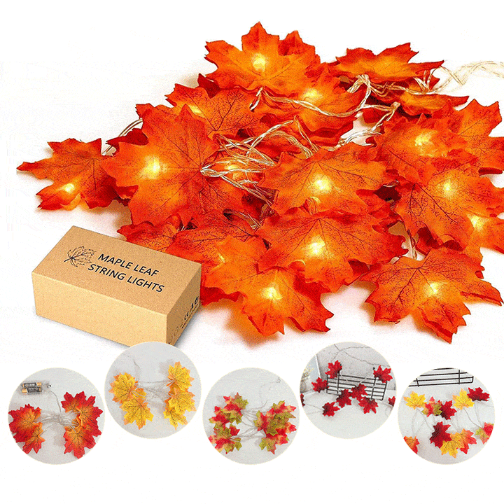 Thanksgiving-Dekor Herbst Ahornblatt Lichterkette | Karnz
