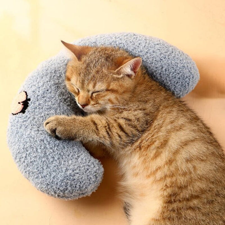 Kat Lieblich Bequem Kissen Karnz