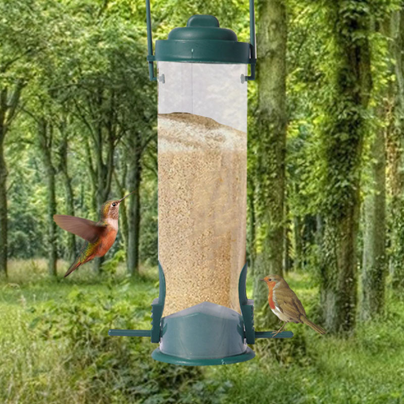 Eichhörnchensicherer Vogelhäuschen | Karnz