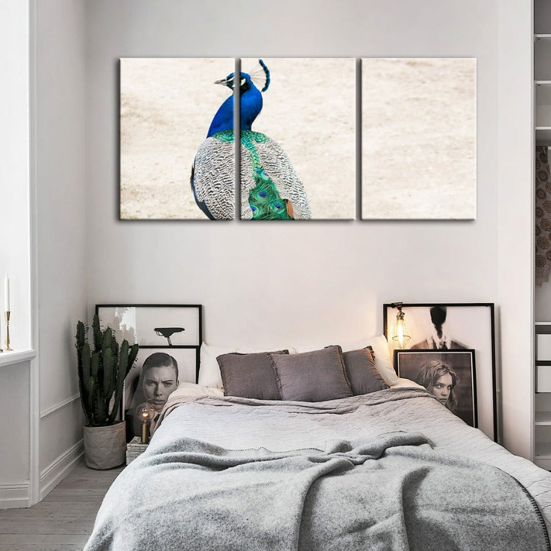 Elegantes Pfauenmotiv mit Rock – 3-teiliges Leinwandbild