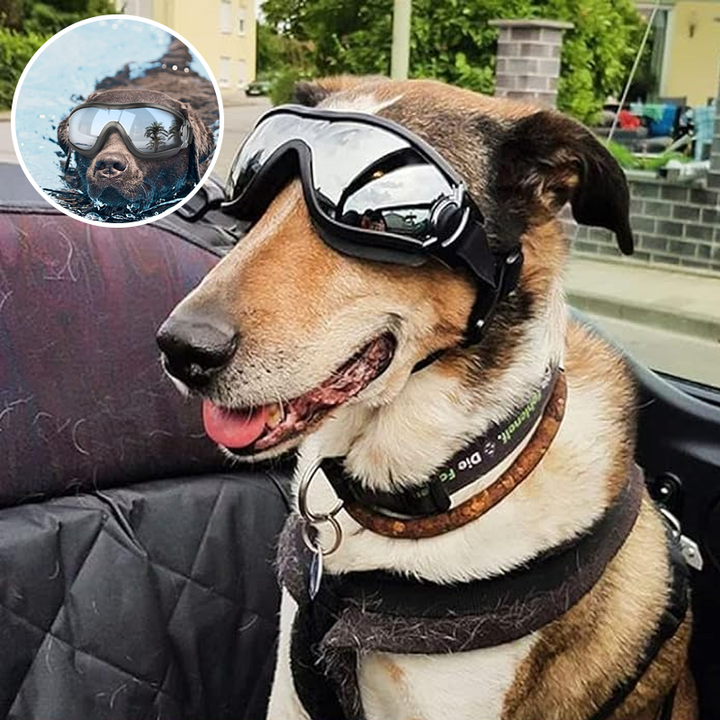 Outdoor-Schutzbrille für Hunde