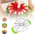 Multifunktionaler Handheld Rundteiler Wassermelonen Schneider | Karnz
