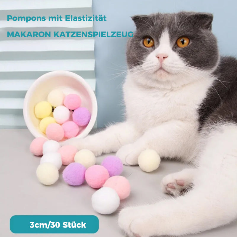 Interaktives Spielzeug für Katzen（30 Stücke） | Karnz