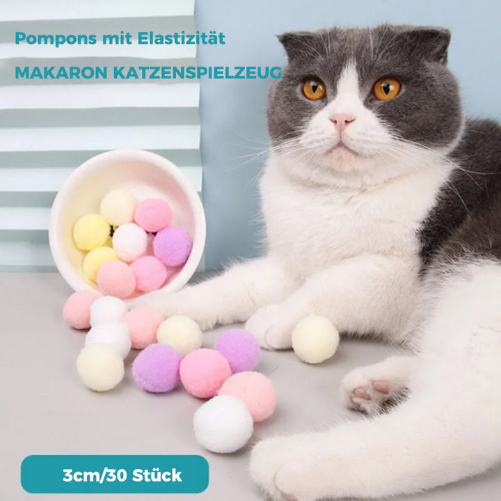 Interaktives Spielzeug für Katzen（30 Stücke） | Karnz