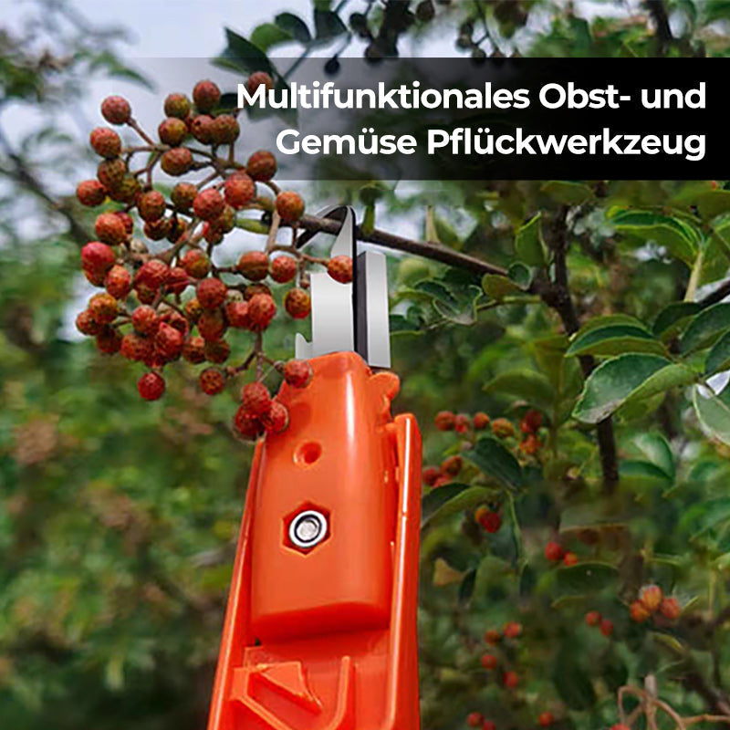 Effiziente Pfeffersammel Werkzeuge | Karnz