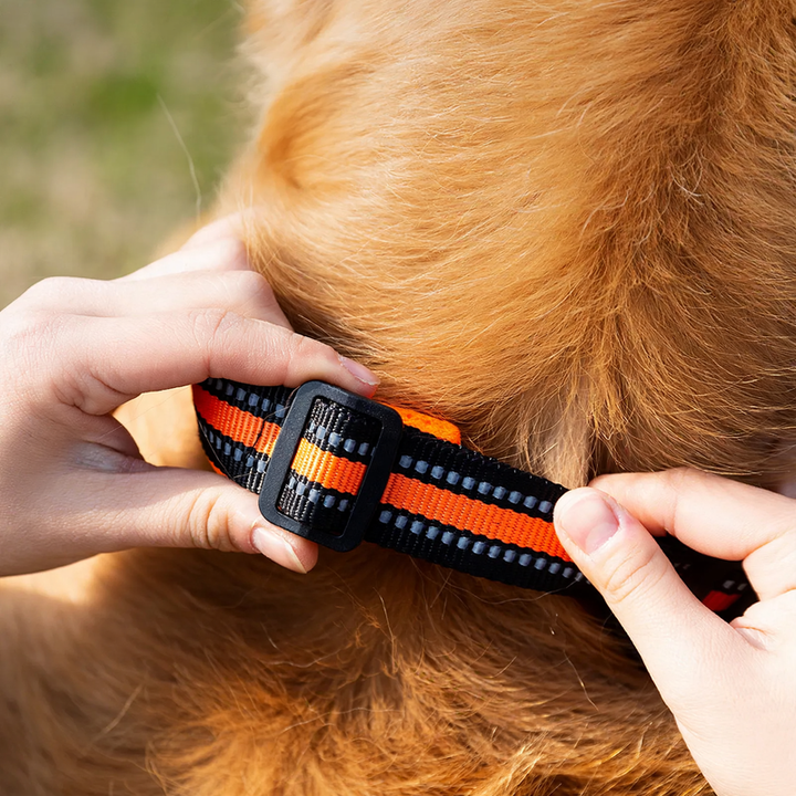 Nylon-Reflektionshalsband für Hunde und Katzen