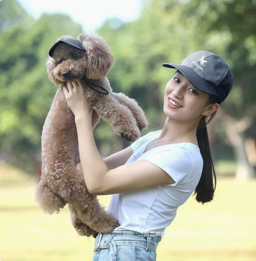 SunSafe Paws – UV-Schutz Hut für Hunde Karnz