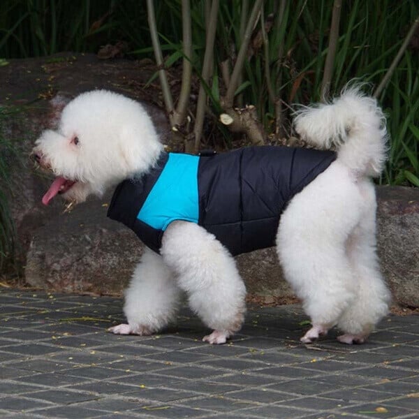 Winter Warme Wasserdichte Hundeweste mit Reißverschluss (Gr.S-7XL)