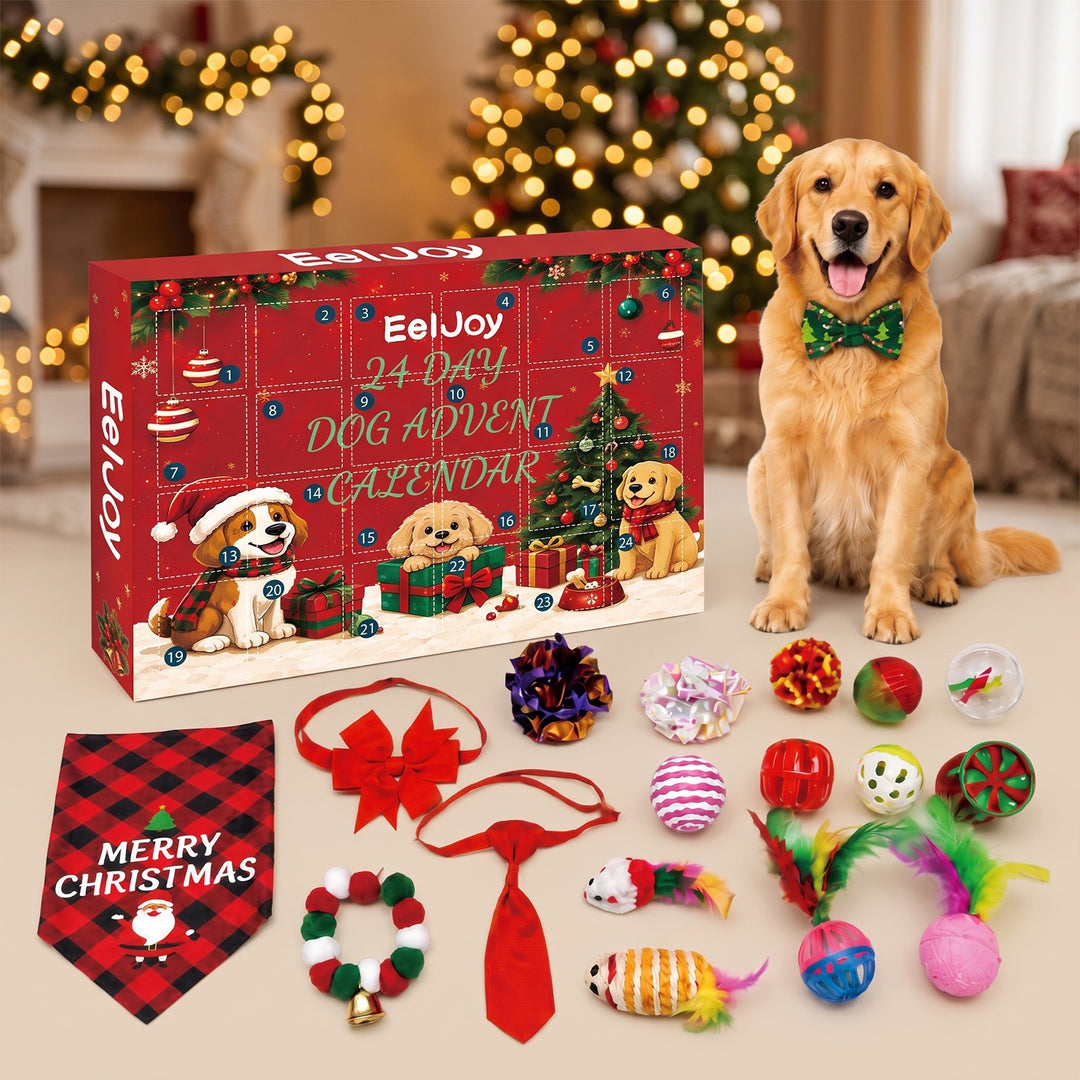 Adventskalender für Hunde