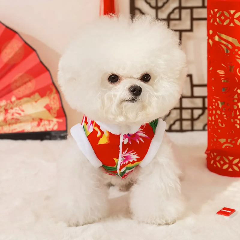 Wattierte Hundemantel mit chinesischem Blumenmuster