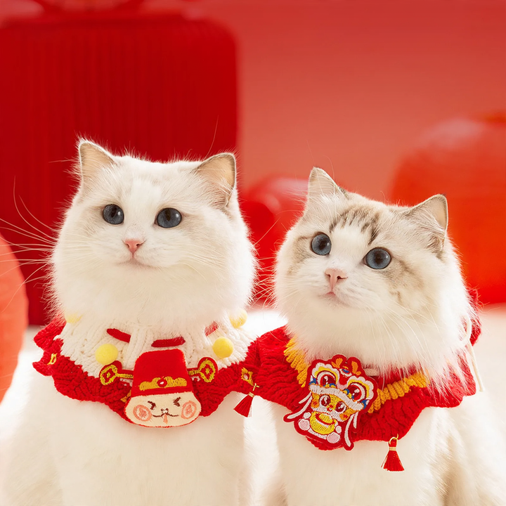 Gestricktes Neujahrs-Halsband für Hunde und Katzen