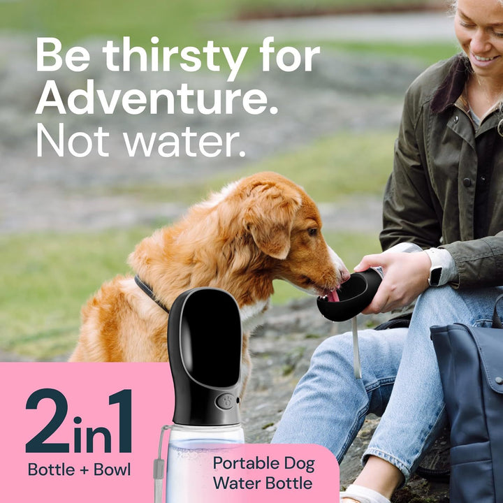 Tragbare 2-in-1 Wasser- und Futtertasse für Haustiere