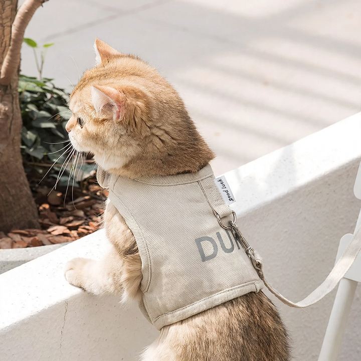 Canvas-Brustgeschirr für Katzen mit Kühlakku-Option