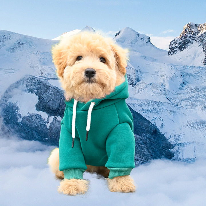 Kapuzen-Sweatshirt für Hunde aus Baumwolle
