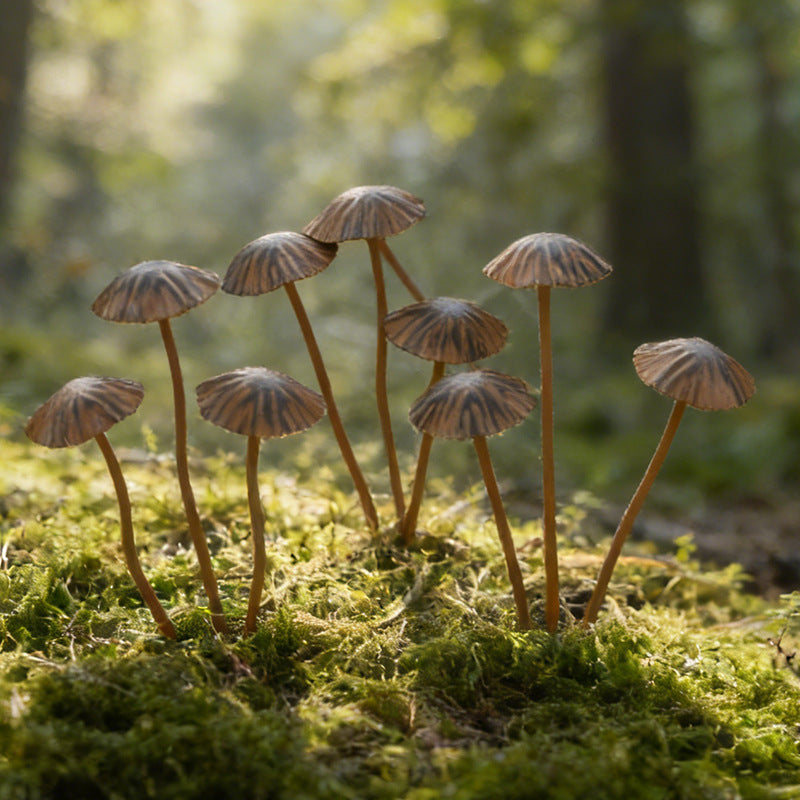 Pilz-Blumenstecker aus Metall für Garten und Haus