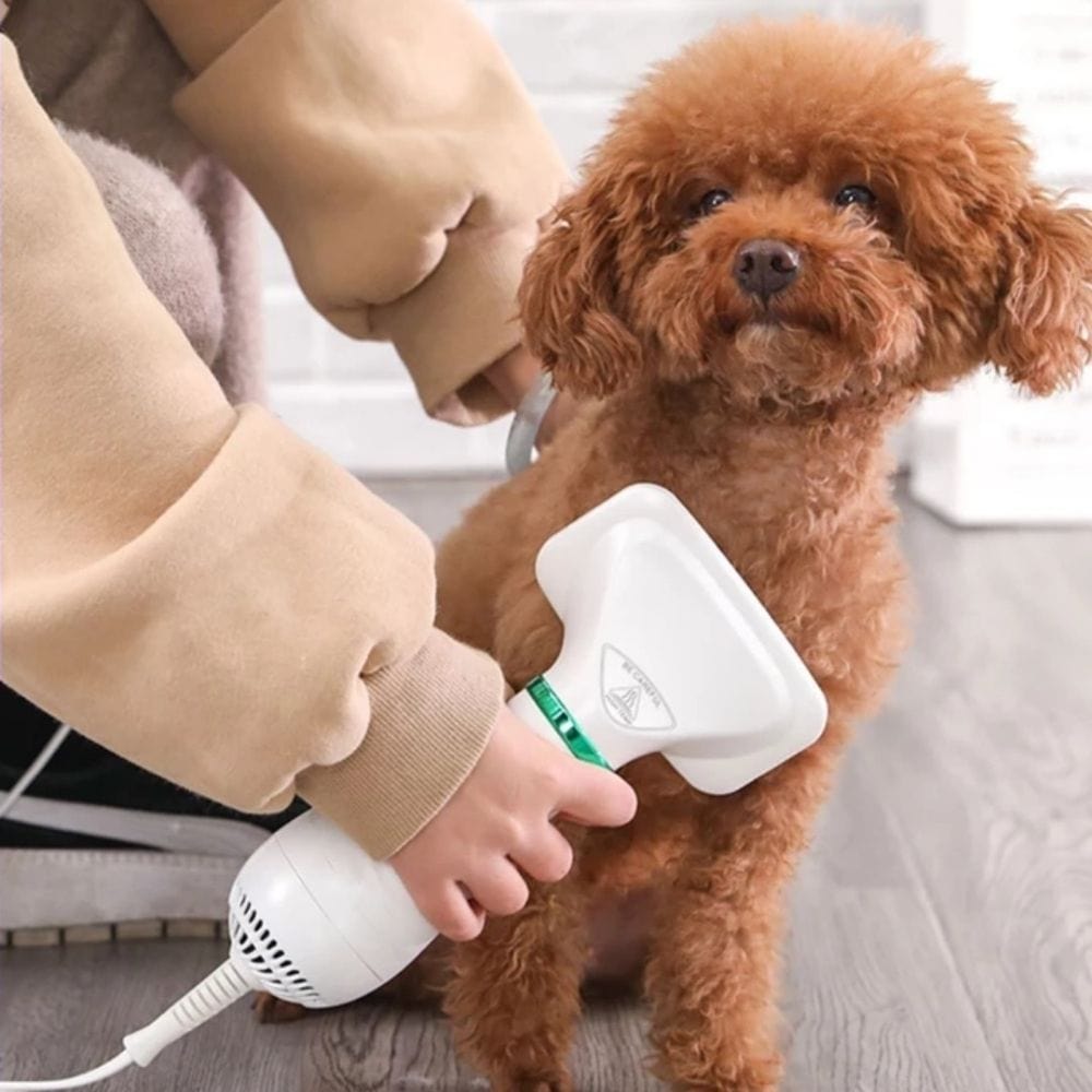 2-in-1 Hundefriseurtrockner