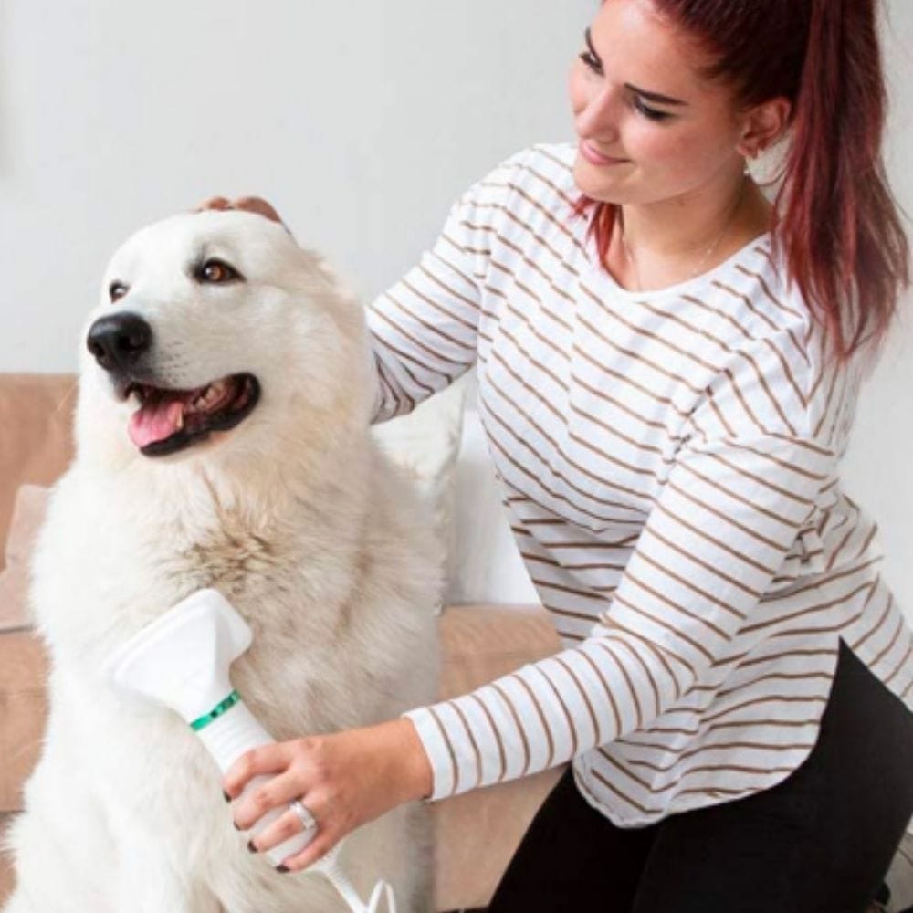 2-in-1 Hundefriseurtrockner