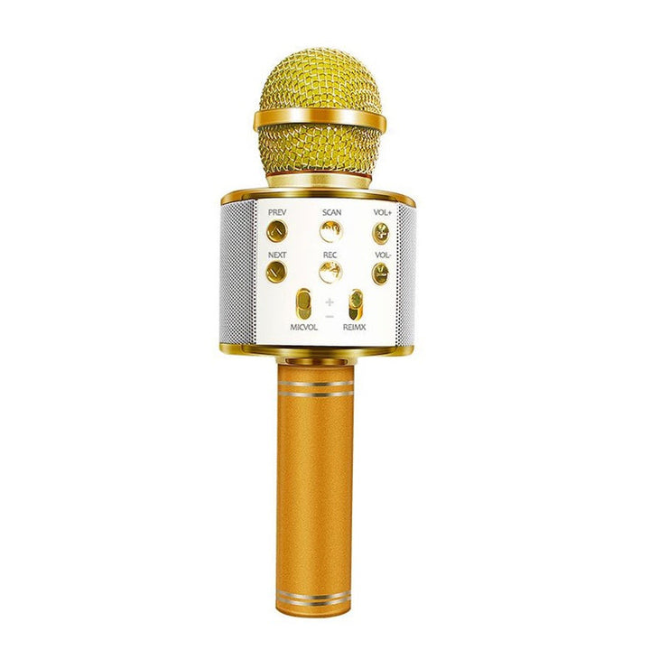 Karnz | Wiederaufladbares kabelloses Bluetooth Karaoke-Mikrofon