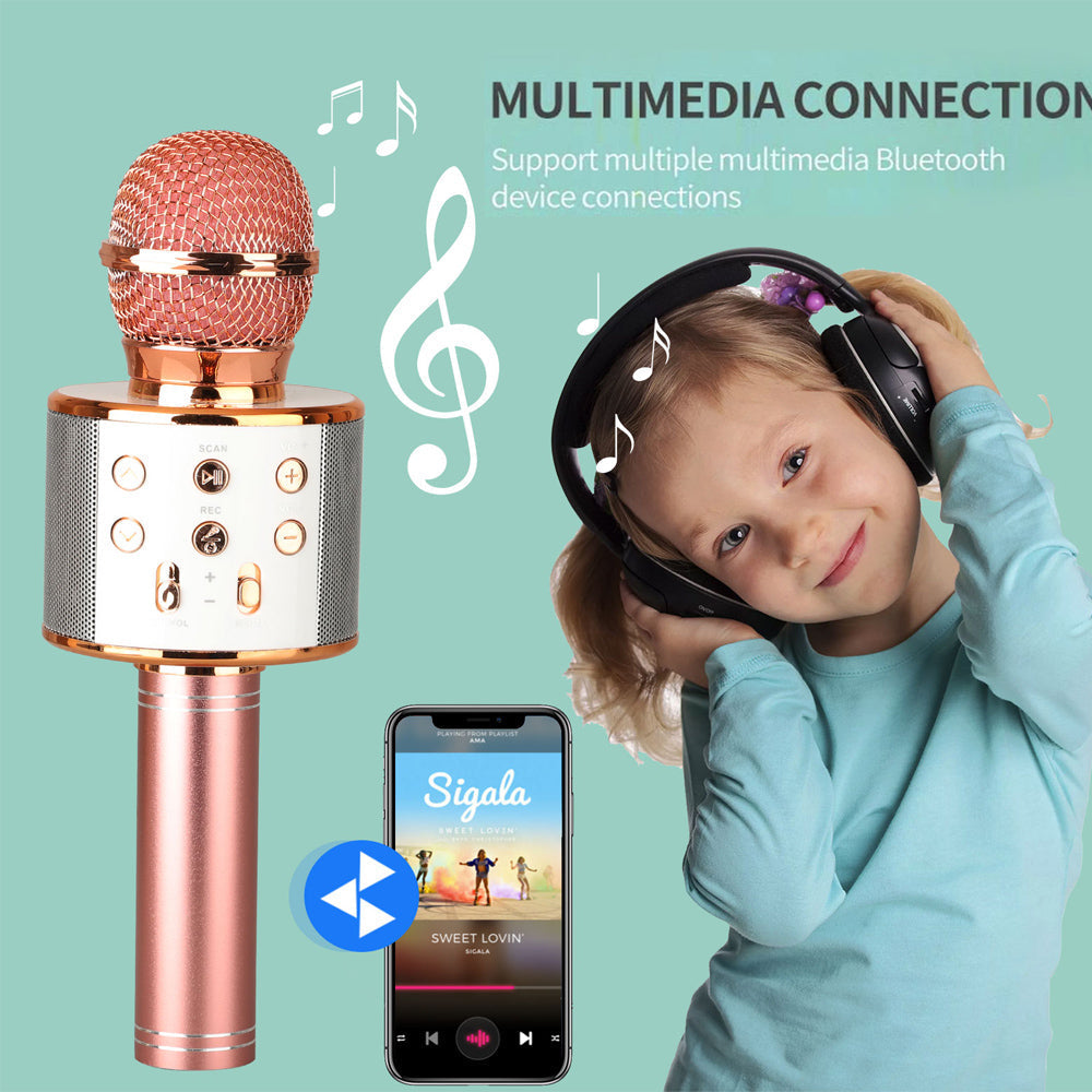 Karnz | Wiederaufladbares kabelloses Bluetooth Karaoke-Mikrofon