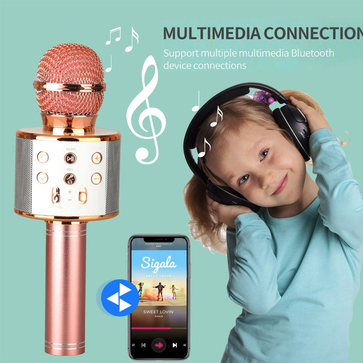 Karnz | Wiederaufladbares kabelloses Bluetooth Karaoke-Mikrofon