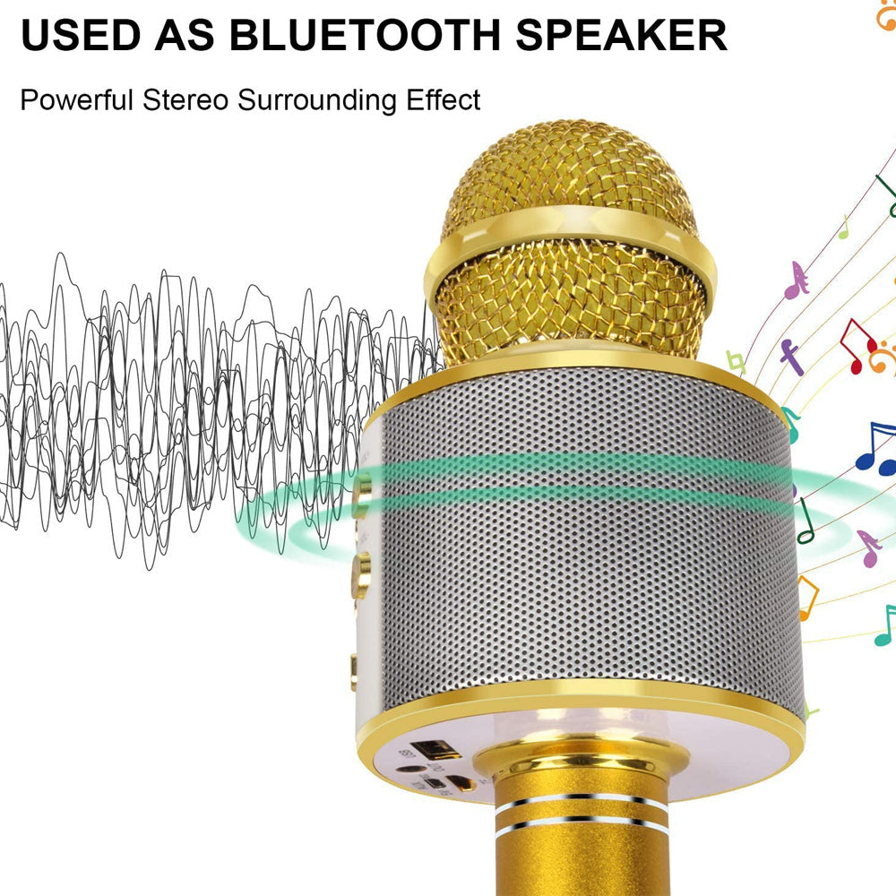 Karnz | Wiederaufladbares kabelloses Bluetooth Karaoke-Mikrofon