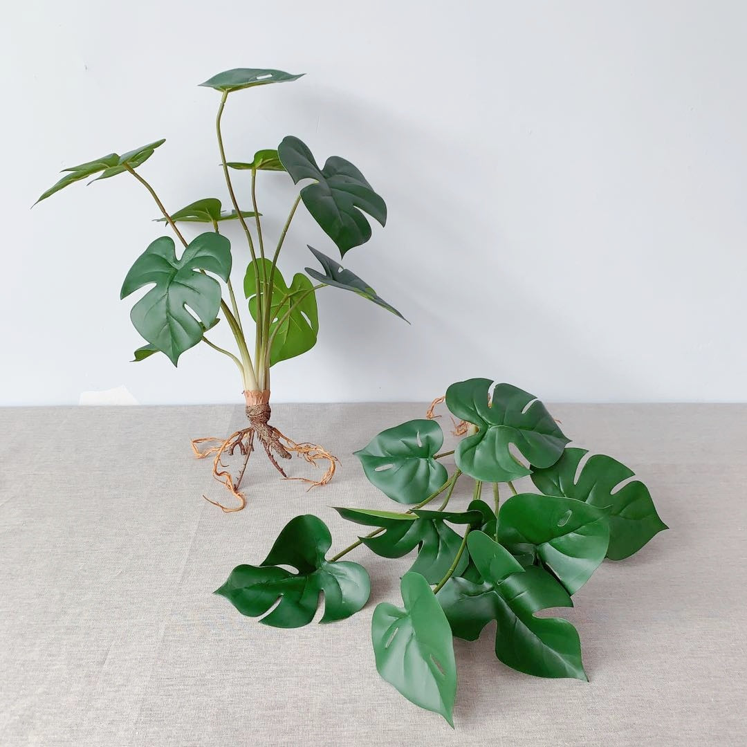 Lebensechte Monstera Pflanze