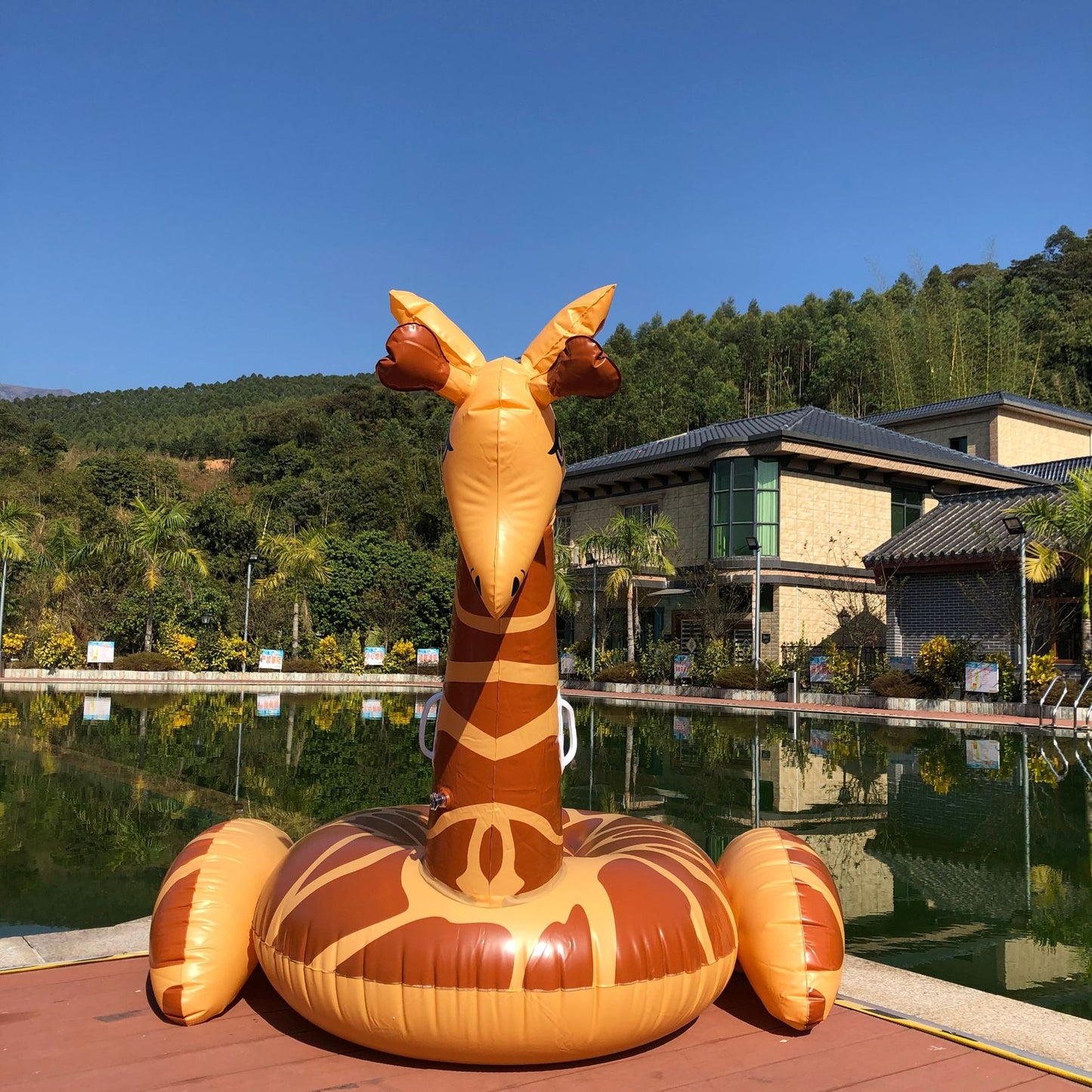 Unisex Aufblasbarer Giraffen-Schwimmtier Karnz