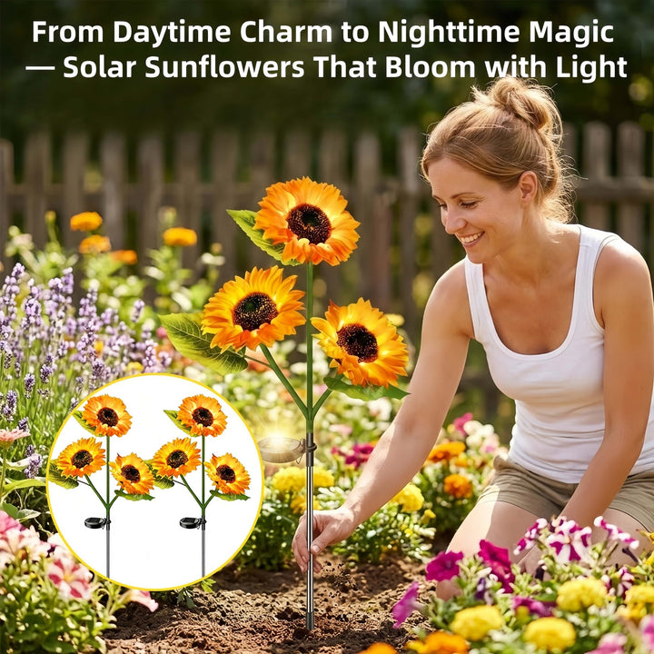 GartenStars — Verwandle deinen Garten in ein magisches Lichtermeer voller Romantik und Freiheit | Karnz