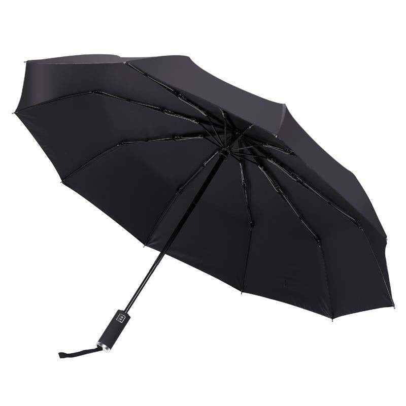 Damen Automatischer Regenschirm Karnz