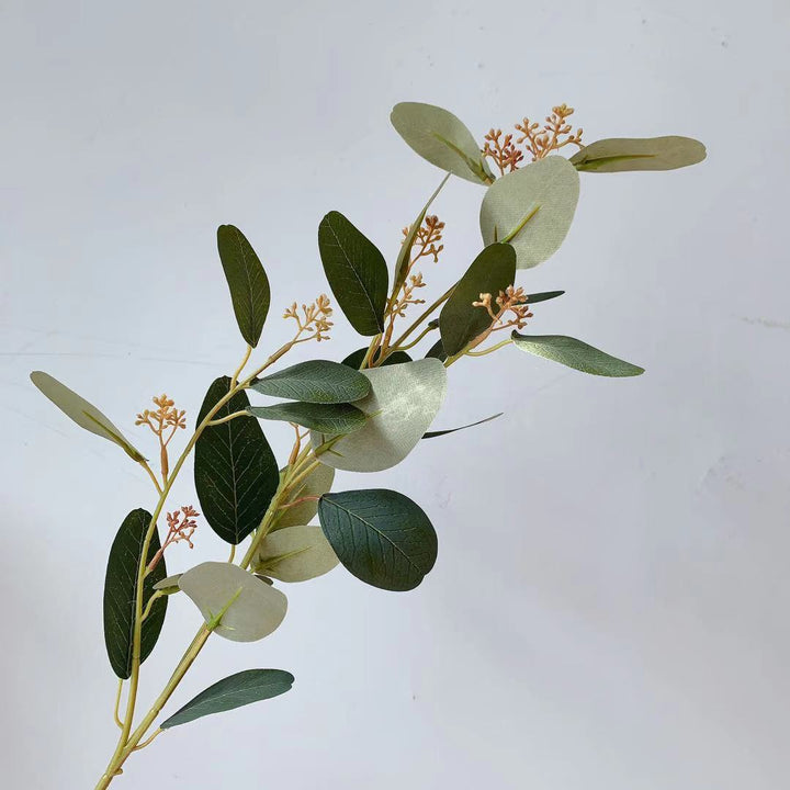 Natürlicher Eukalyptus-Stiel