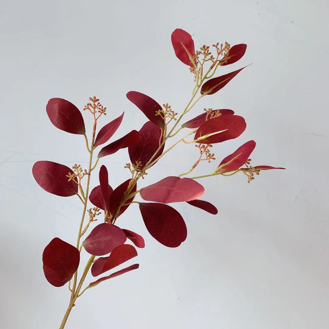 Natürlicher Eukalyptus-Stiel
