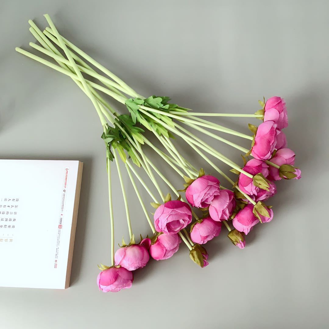Realistische Pfingstrose Blumenstängel